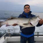 Fall Rockfish Season Is On: Chesapeake Bay Charter Fishing Report, Oct 9–15 11 Chesapeake Bay Charter Fishing for Rockfish aka Striped Bass