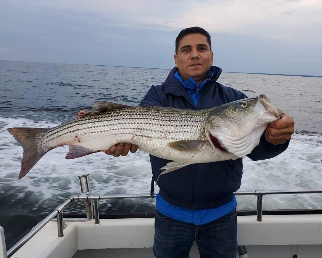 Chesapeake Bay Charter Fishing for Rockfish aka Striped Bass