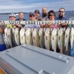 Chesapeake Bay Rockfish Charters: What to Expect
