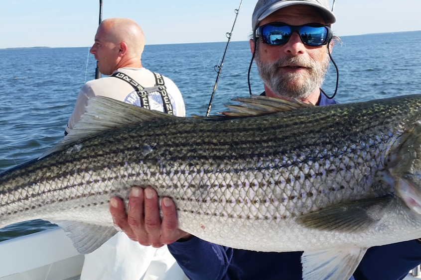 Best Chesapeake Bay Rockfish Fishing Charters
