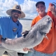 Potomac River Blue Catfish Fishing Season