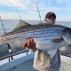 When Does Rockfish Season Open on the Chesapeake Bay? The Answer Has A Few Parts...Here are the details on Rockfish Season Opening on the Chesapeake Bay