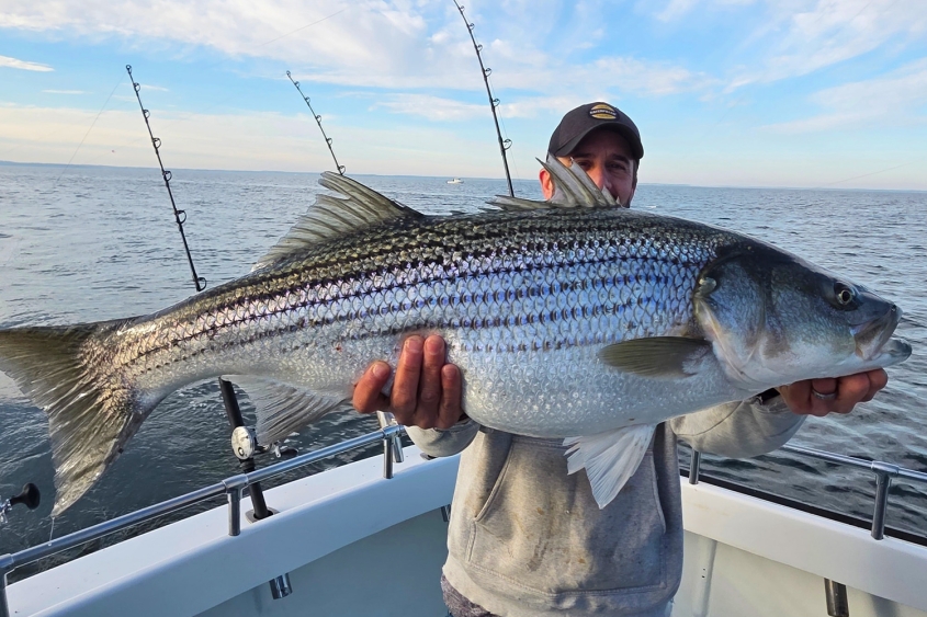 When Does Rockfish Season Open on the Chesapeake Bay? The Answer Has A Few Parts...Here are the details on Rockfish Season Opening on the Chesapeake Bay