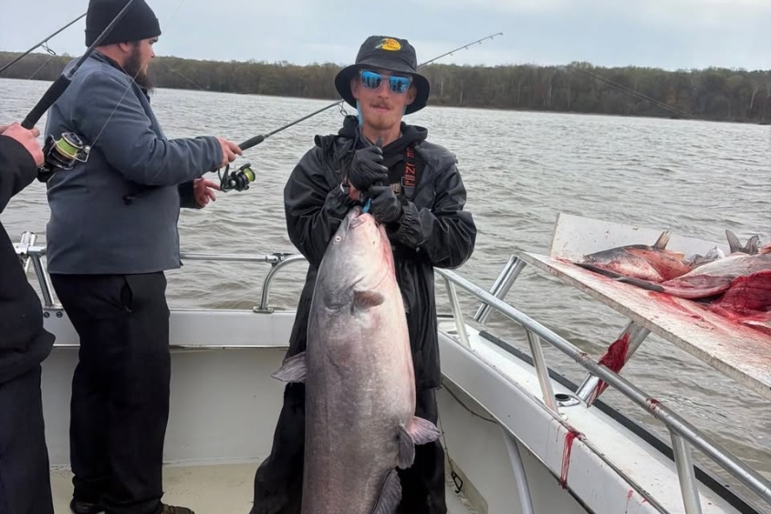 55 pound blue catfish Potomac Miss Susie Charters
