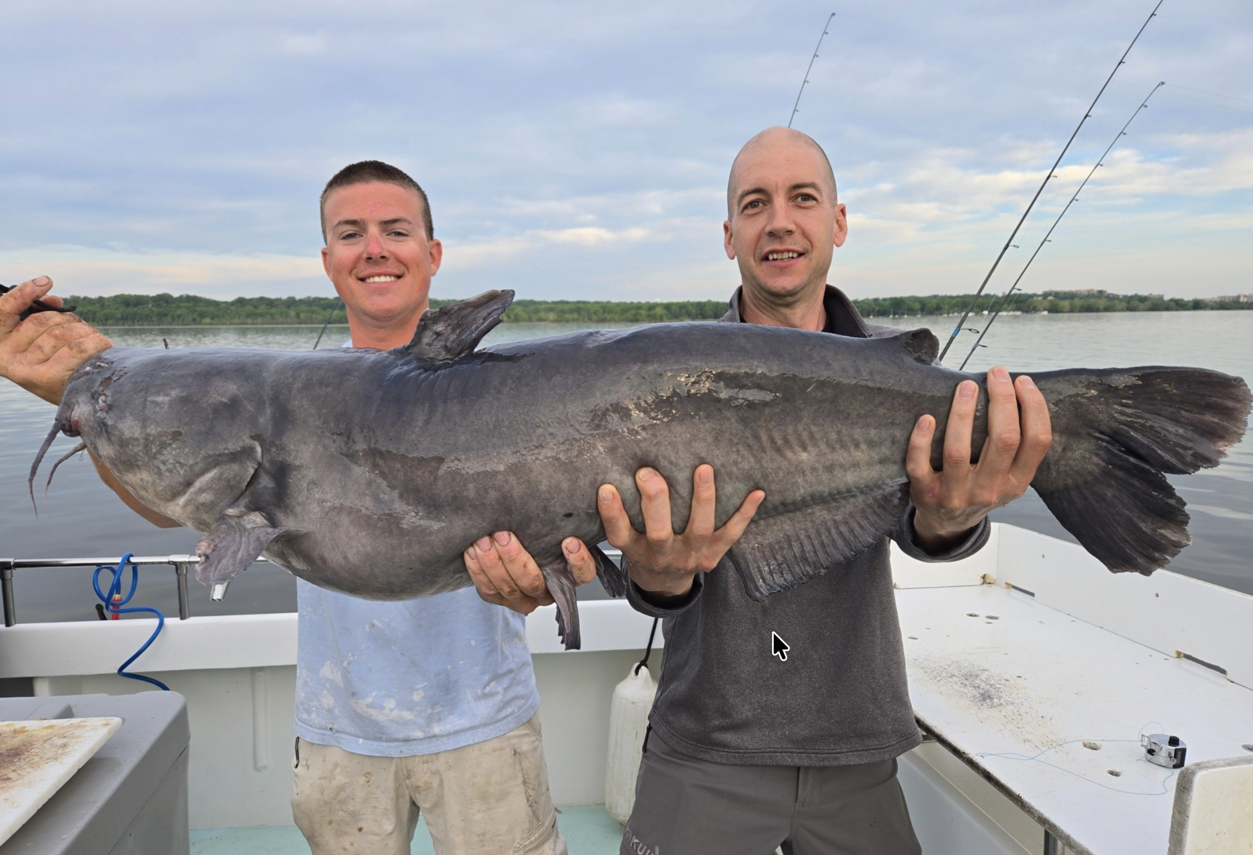 Fishing has been fun this week with summer temps and plenty of giant blue catfish this week on Miss Susie's Blue Catfish Charters on the Potomac River! 