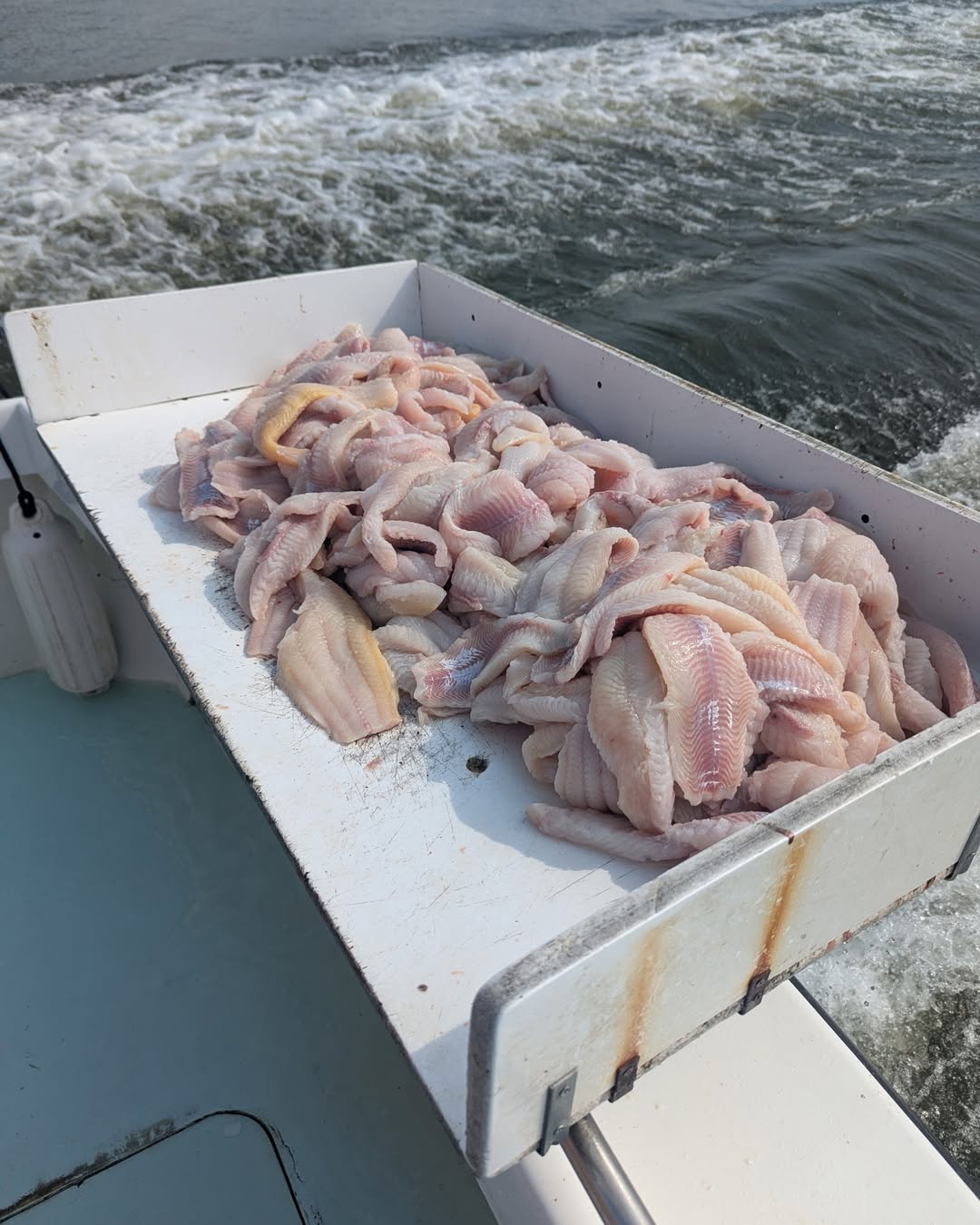 Crazy Good Blue Catfish Fishing! 2 Crazy Good Blue Catfish Fishing! | Chesapeake Bay Fishing Charters