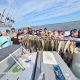 Chesapeake Bay Rockfish Report: Light Tackle Bite Is On Fire 6 Chesapeake Bay Rockfish Report -Light Tackle Bite Is On Fire