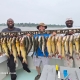 Chesapeake Bay Charter Fishing Report: The Last Week for Summer Rockfish 7 live bait limit on Rockfish, also known as Striped Bass - Chesapeake Bay Charter Fishing Report: The Last Week for Summer Rockfish