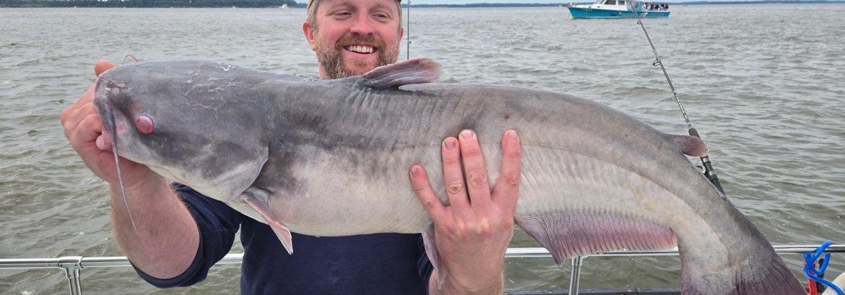 Chesapeake Bay Fishing Report: Summer Rockfish Wraps Up, Solomons Heats Up 1 Fort Washington MD BlueCatfishing