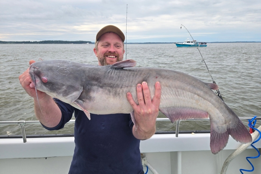 Fort Washington MD BlueCatfishing
