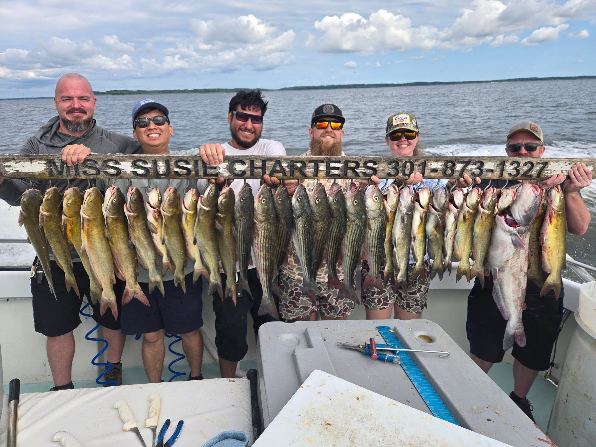 Chesapeake Bay Fishing Report: Summer Rockfish Wraps Up, Solomons Heats Up 2 Crazy crazy good Live Bait Fishing followed up by good Blue & Channel Catfishing out of Pasadena, MD!!!