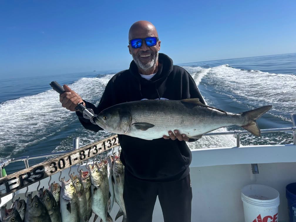 Chesapeake Bay Fishing Report: Summer Rockfish Wraps Up, Solomons Heats Up 6 Blue Fish Fishing charters out of Solomons Island MD