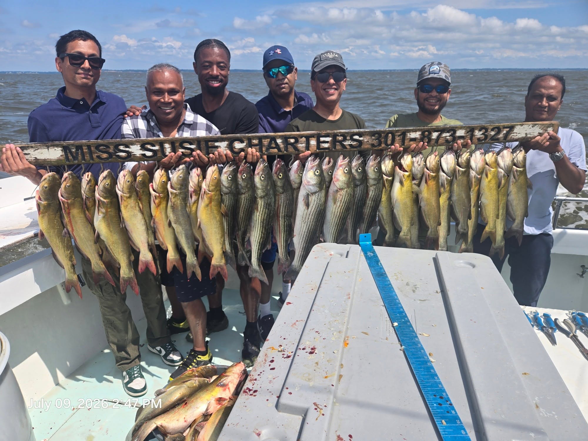 Incredible afternoon! 50 plus Cats after a quick Limit on Stripers aka RockFish! Pasadena, MD on 🔥!!!!! 