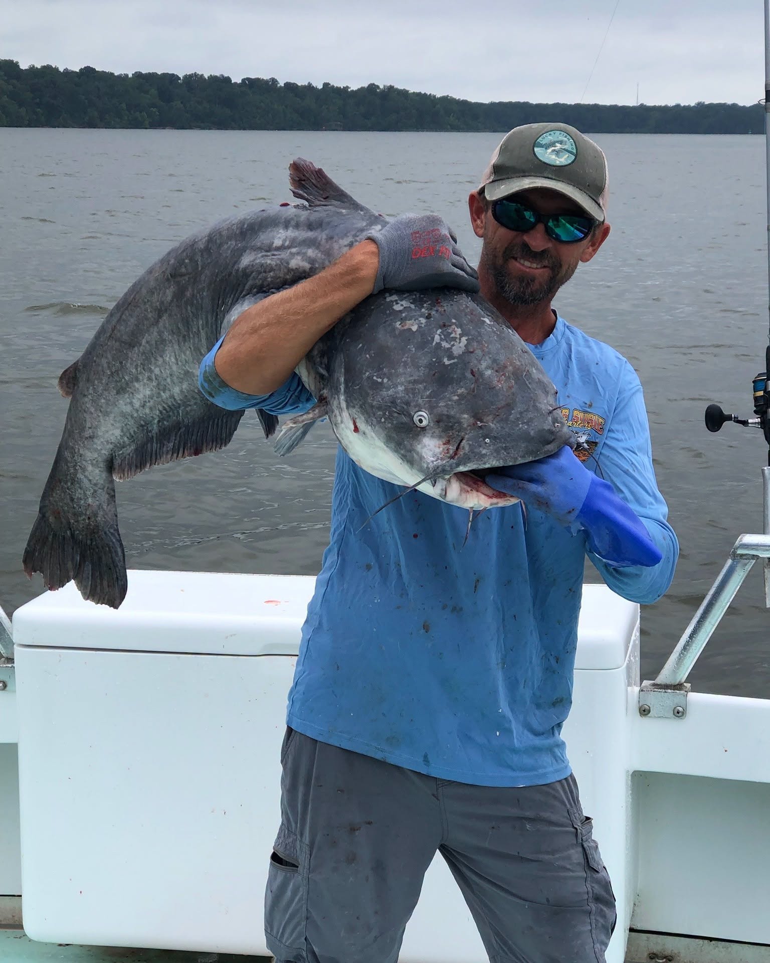 monster blue catfish caught. on our Ft Washington Charter 