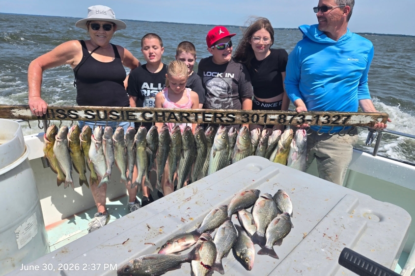 Striped Bass / Rockfish catch with White Perch from Miss Susie Charters fishing Charter