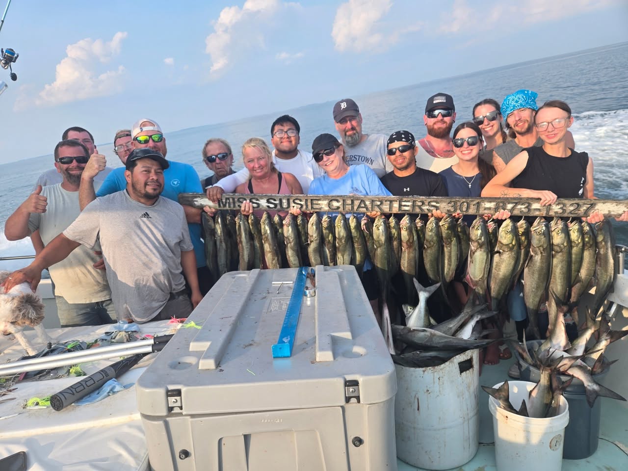 Spanish Mackerel & Bluefish charter fishing trips Solomons Island md