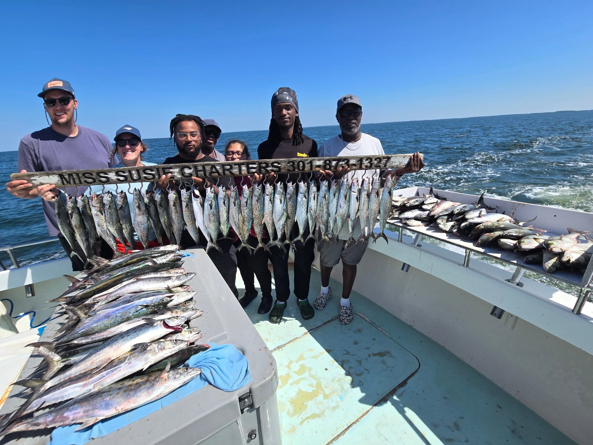 100 Spanish Mackerel & 11 Bluefish