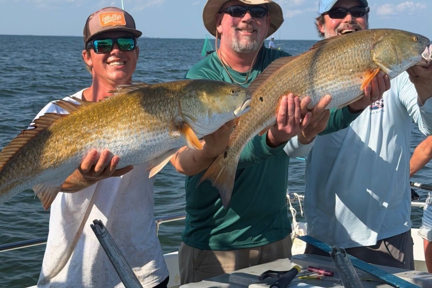 Chesapeake Bay Charter Fishing -Red Drum, Mackerel & Bluefish Light It Up