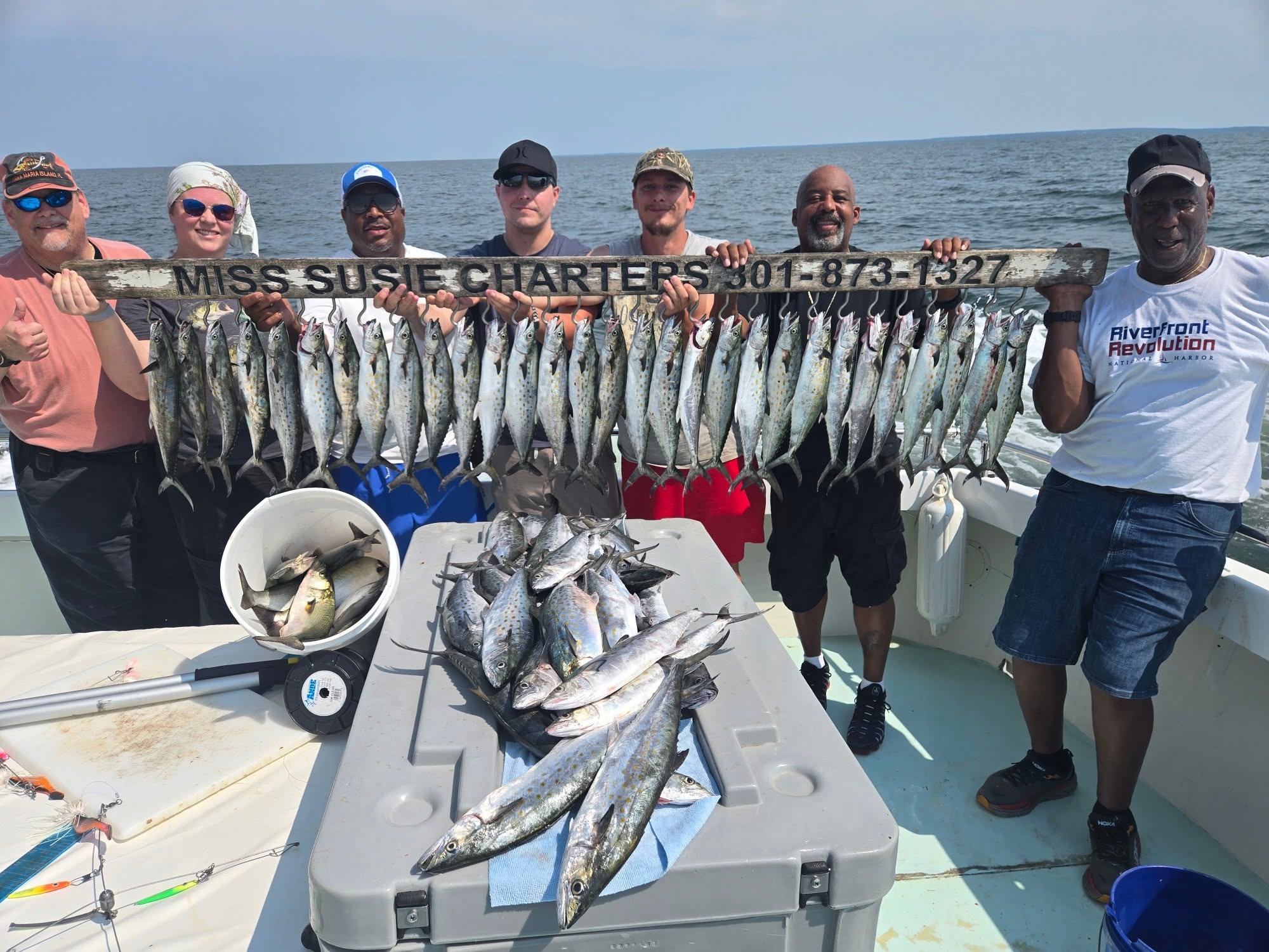 Chesapeake Bay Spanish Mackerel Fishing Charters - Huge numbers