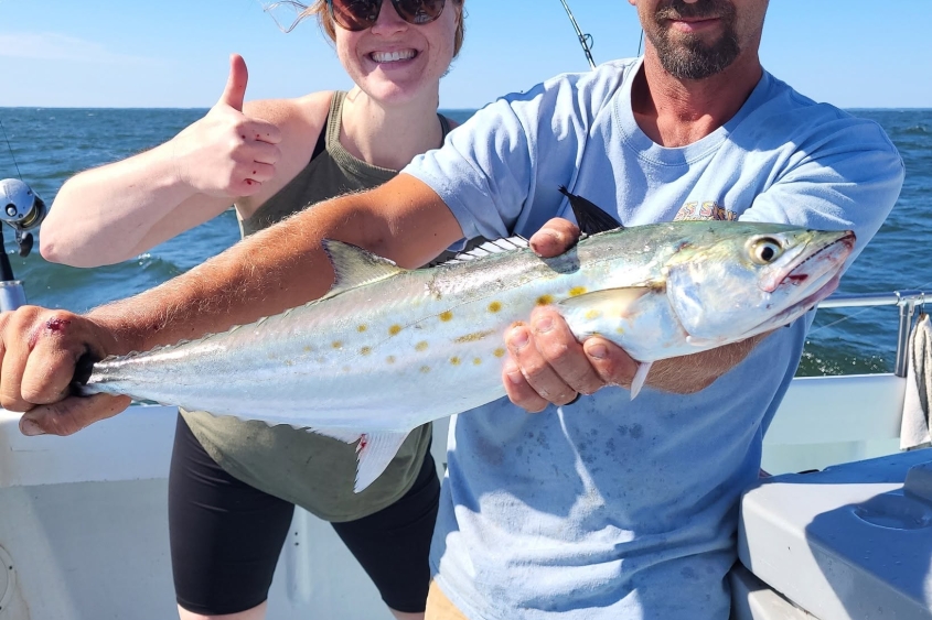 Solomons Island -Spanish Mackerel Charter Fishing Trips on the Chesapeake Bay Spanish Mackerel Are Back!