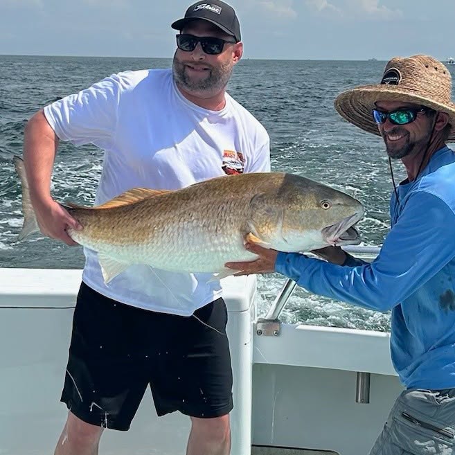Chesapeake Bay Charter Fishing Report: Big Reds and Bluefish Light Up Solomons 2 Chesapeake Bay Red Drum Fishing Charters