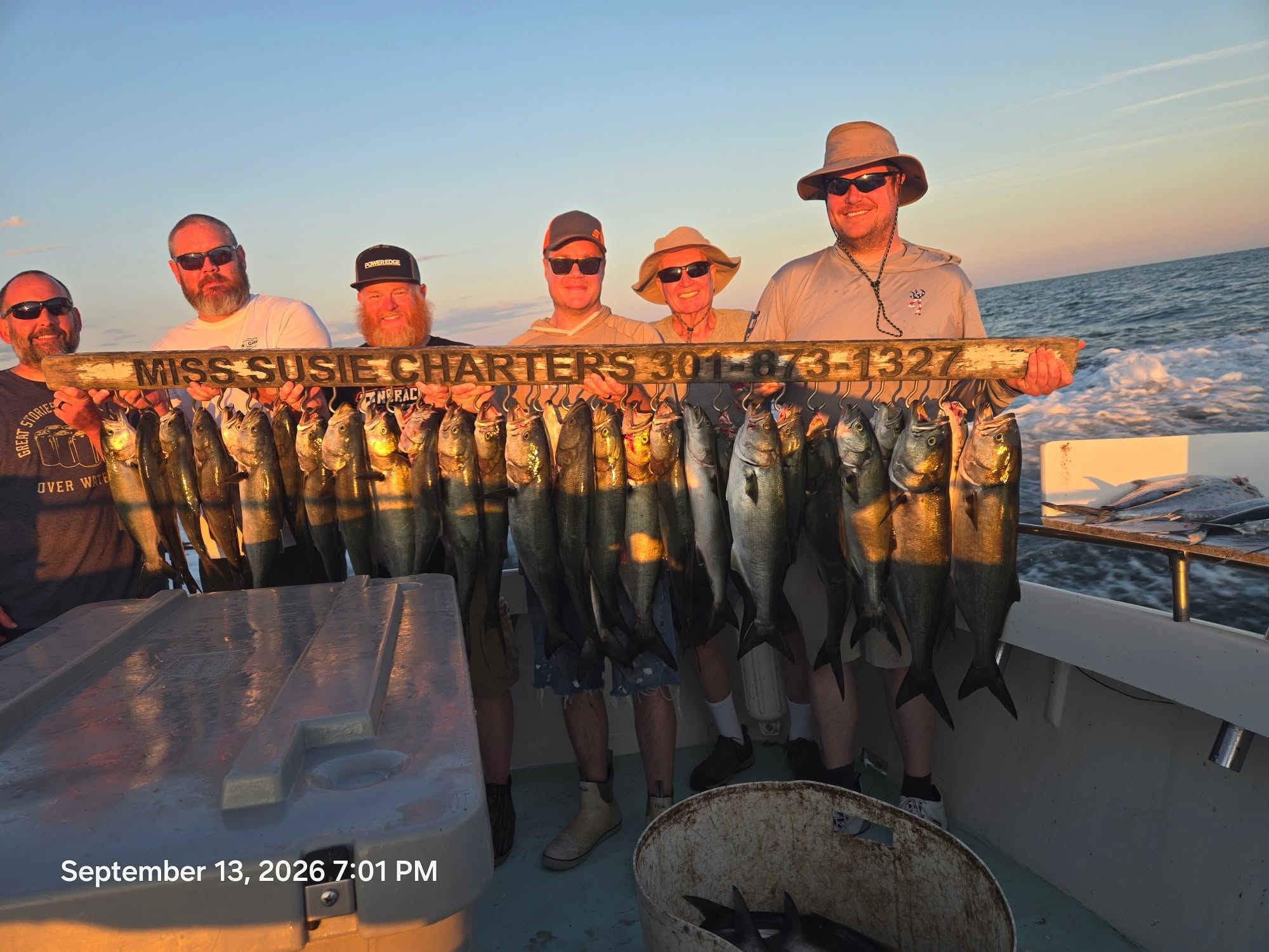 Charter Fishing Trips on the Chesapeake Bay for Spanish Mackerel, Red Drum, Cobia, Bluefish