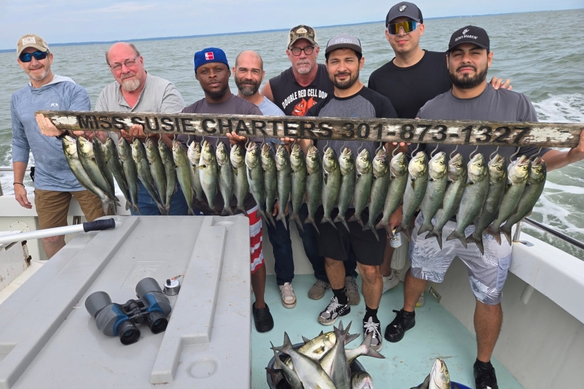 Chesapeake Bay Bluefish Charters