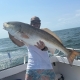 Chesapeake Bay Red Drum Fishing Charters