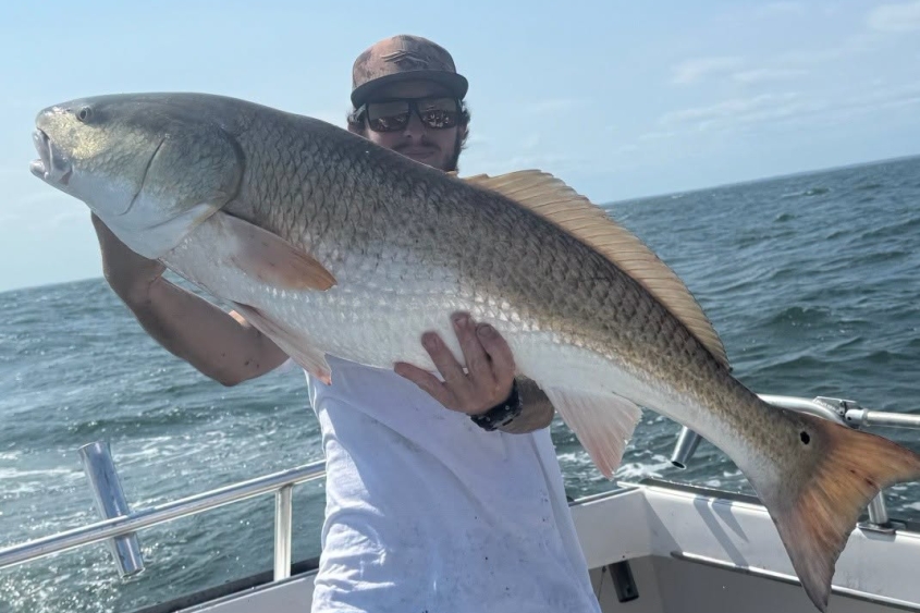 Chesapeake Bay Red Drum Fishing Charters
