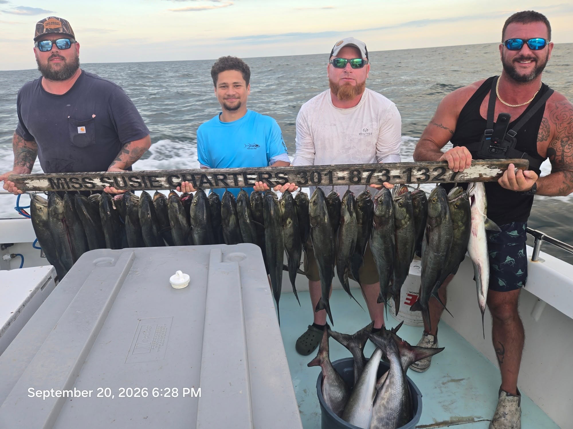 Chesapeake Bay Bluefish Charters