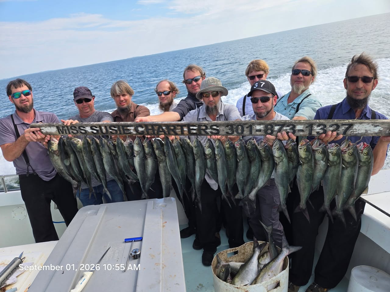 Chesapeake Bay Charter Fishing Report: Big Reds and Bluefish Light Up Solomons 5 Chesapeake Bay Red Drum Fishing Charters