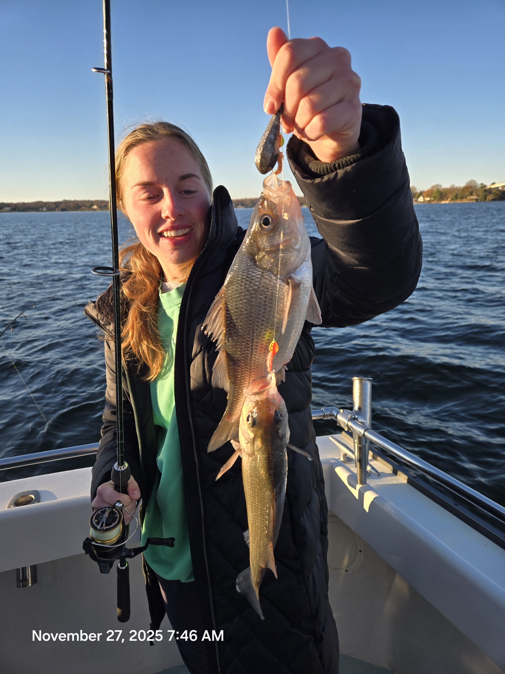 Light-tackle live lining for Rockfish aka Striped Bass, then nonstop White Perch with no size or creel limits. Book your Chesapeake Bay combo charter today
