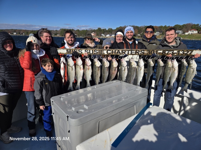 Light-tackle live lining for Rockfish aka Striped Bass, then nonstop White Perch with no size or creel limits. Book your Chesapeake Bay combo charter today