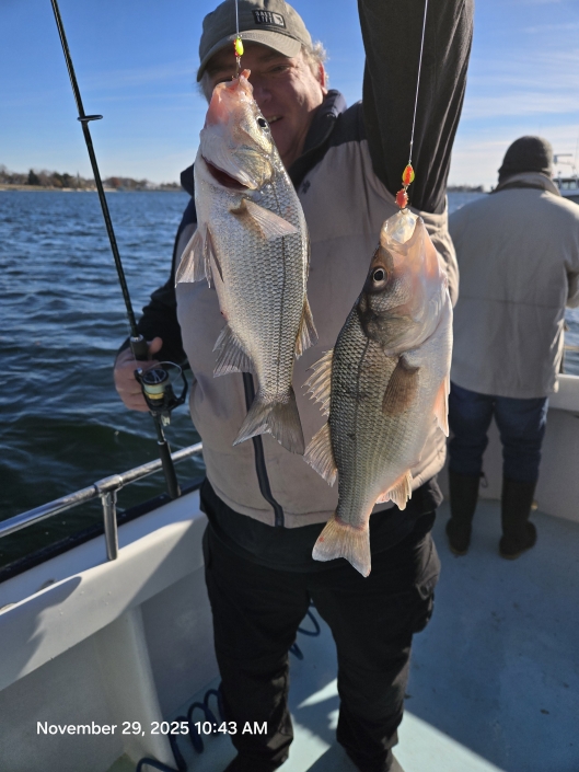 Light-tackle live lining for Rockfish aka Striped Bass, then nonstop White Perch with no size or creel limits. Book your Chesapeake Bay combo charter today