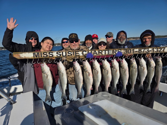Light-tackle live lining for Rockfish aka Striped Bass, then nonstop White Perch with no size or creel limits. Book your Chesapeake Bay combo charter today
