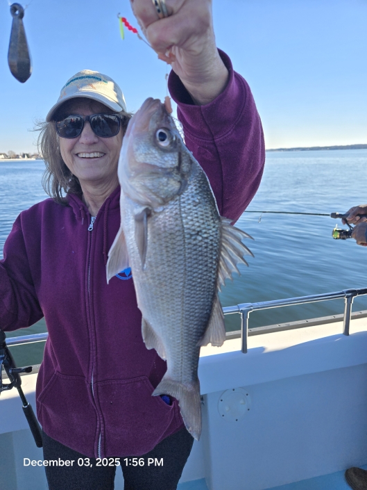 Light-tackle live lining for Rockfish aka Striped Bass, then nonstop White Perch with no size or creel limits. Book your Chesapeake Bay combo charter today