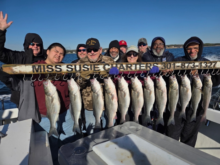 Light-tackle live lining for Rockfish aka Striped Bass, then nonstop White Perch with no size or creel limits. Book your Chesapeake Bay combo charter today