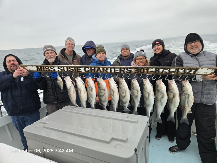 Light-tackle live lining for Rockfish aka Striped Bass, then nonstop White Perch with no size or creel limits. Book your Chesapeake Bay combo charter today