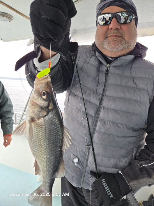 Light-tackle live lining for Rockfish aka Striped Bass, then nonstop White Perch with no size or creel limits. Book your Chesapeake Bay combo charter today