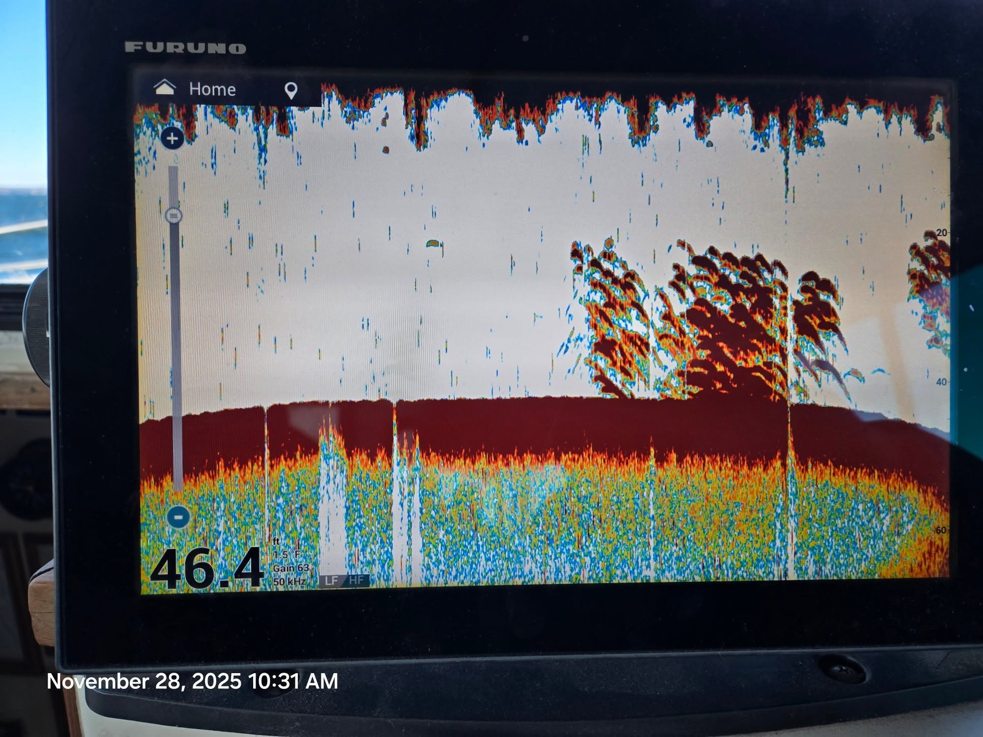 Chesapeake Bay Fishing Report: Rockfish & White Perch Start Oct 15 | Chesapeake Bay Fishing Charters