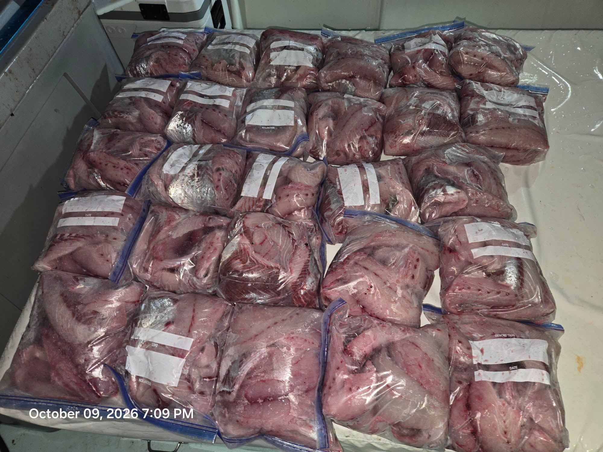 27 one gallon Bag loaded to the Hilt! Lots of Fish Cakes and Smoked Bluefish Dip for this crew this Winter! 