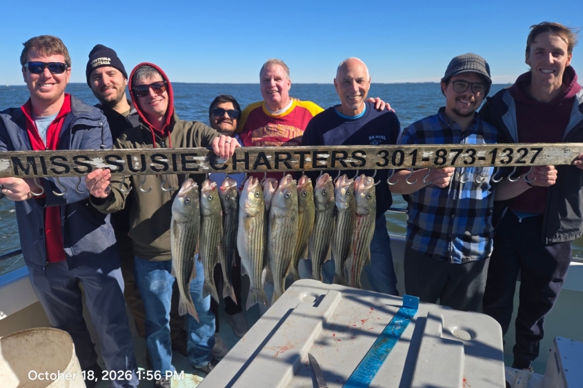 Chesapeake Bay Charter Fishing for Rockfish aka Striped Bass