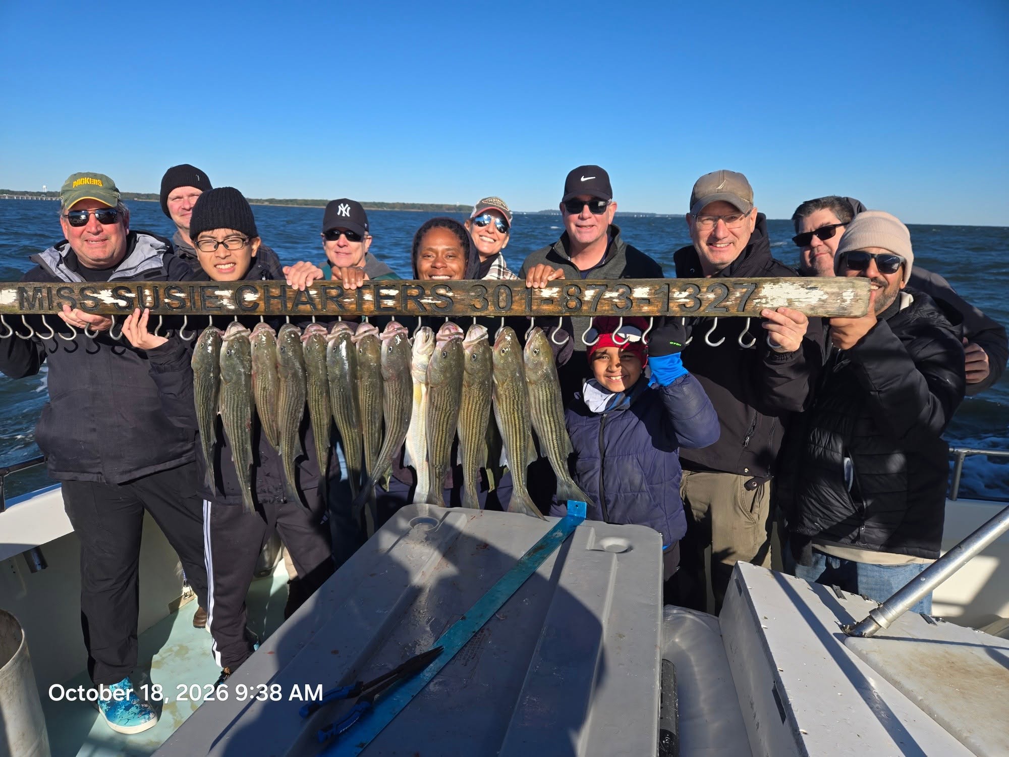 Fall Rockfish Season Is in Full Swing: Chesapeake Bay Fishing Report, Oct 16–23 4 Chesapeake Bay Charter Fishing for Rockfish aka Striped Bass
