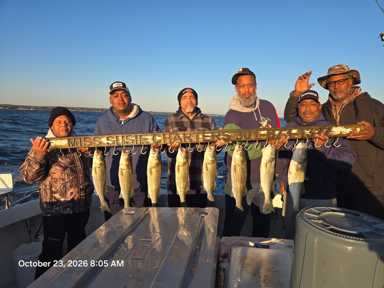 Fall Rockfish Season Is in Full Swing: Chesapeake Bay Fishing Report, Oct 16–23 8 Chesapeake Bay Charter Fishing for Rockfish aka Striped Bass