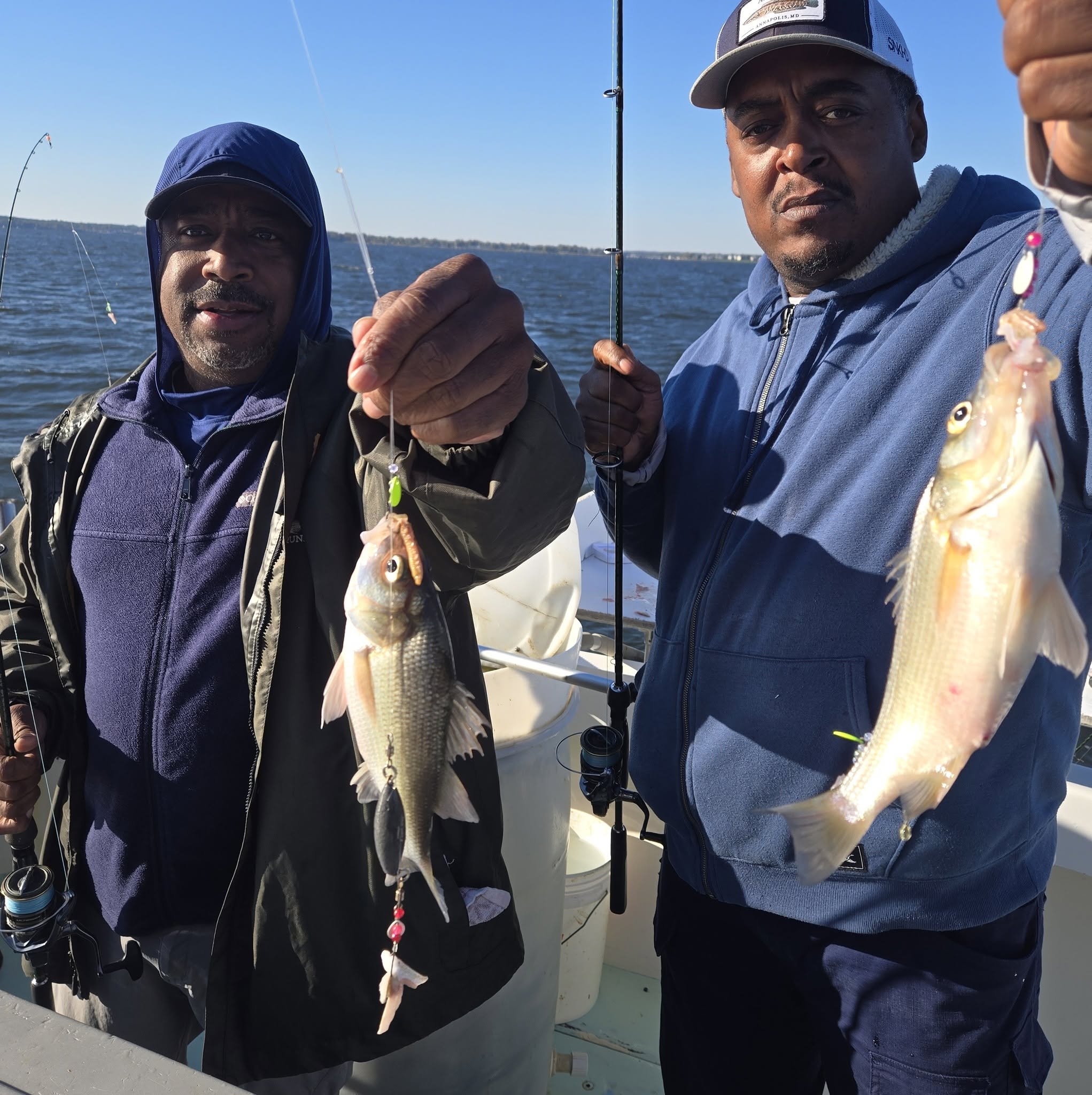 Fall Rockfish Season Is in Full Swing: Chesapeake Bay Fishing Report, Oct 16–23 9 Chesapeake Bay Charter Fishing for White Perch