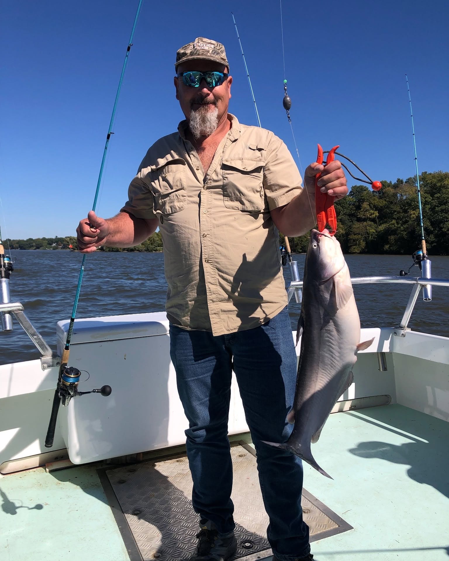 Fall Rockfish Season Is in Full Swing: Chesapeake Bay Fishing Report, Oct 16–23 10 Blue Catfish Fishing Charters on Potomac