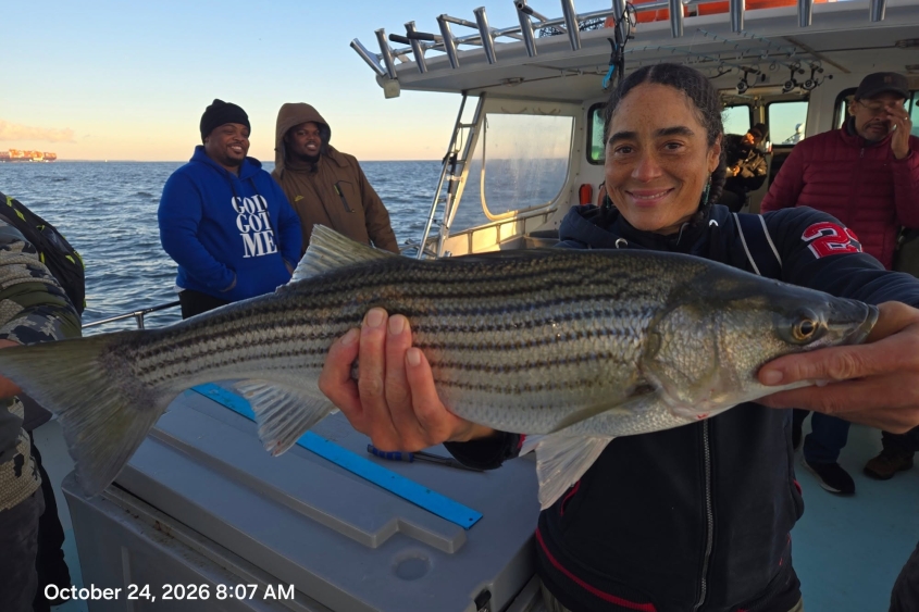 Chesapeake Bay Charter Fishing for Rockfish aka Striped Bass