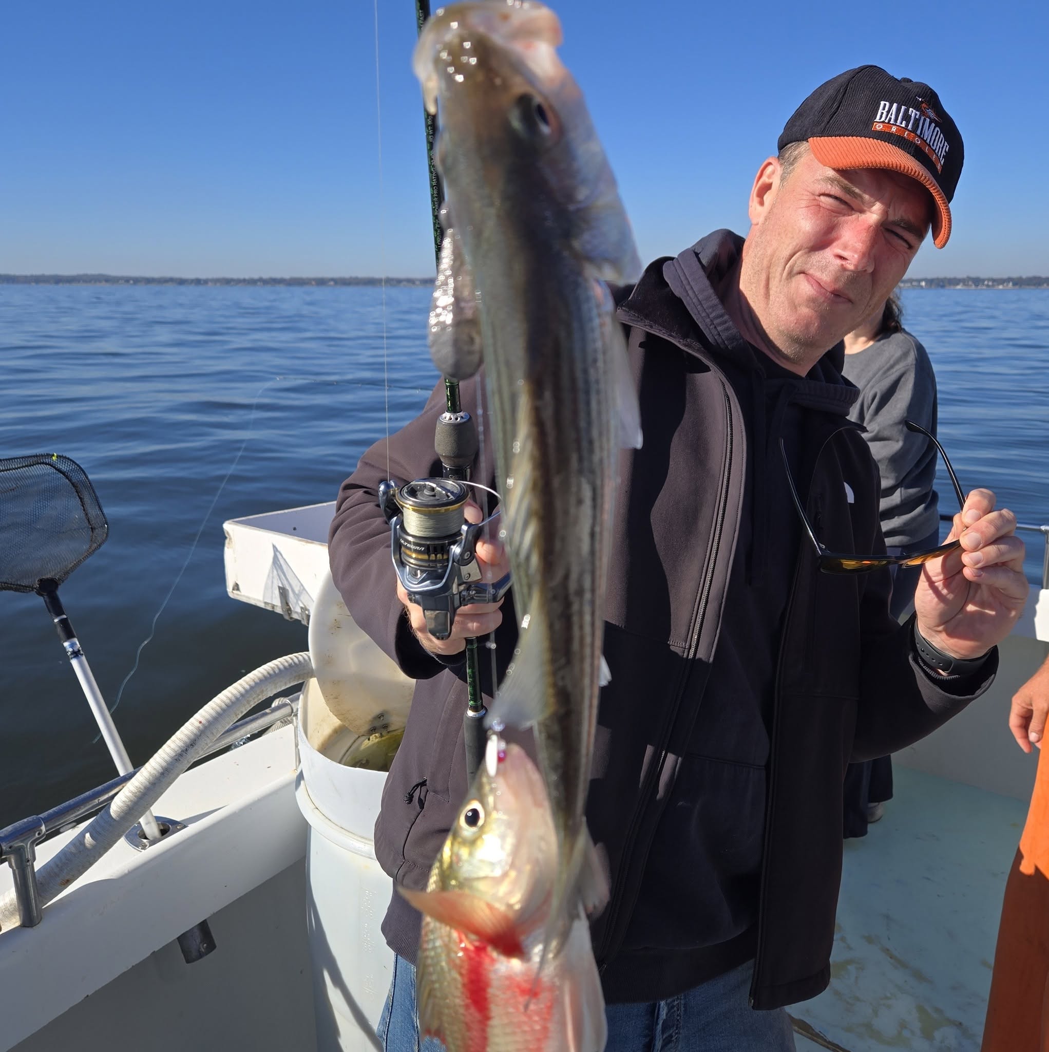 Chesapeake Bay Rockfish Charters Report: Over-Slots & 225 Perch 3 Chesapeake Bay Charter Fishing for Rockfish aka Striped Bass & White Perch