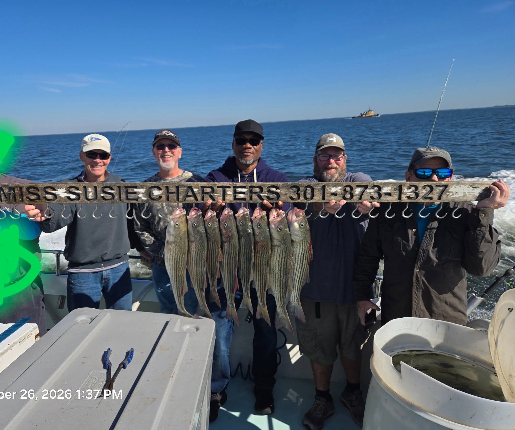 Chesapeake Bay Rockfish Charters Report: Over-Slots & 225 Perch 4 Chesapeake Bay Charter Fishing for Rockfish aka Striped Bass & White Perch