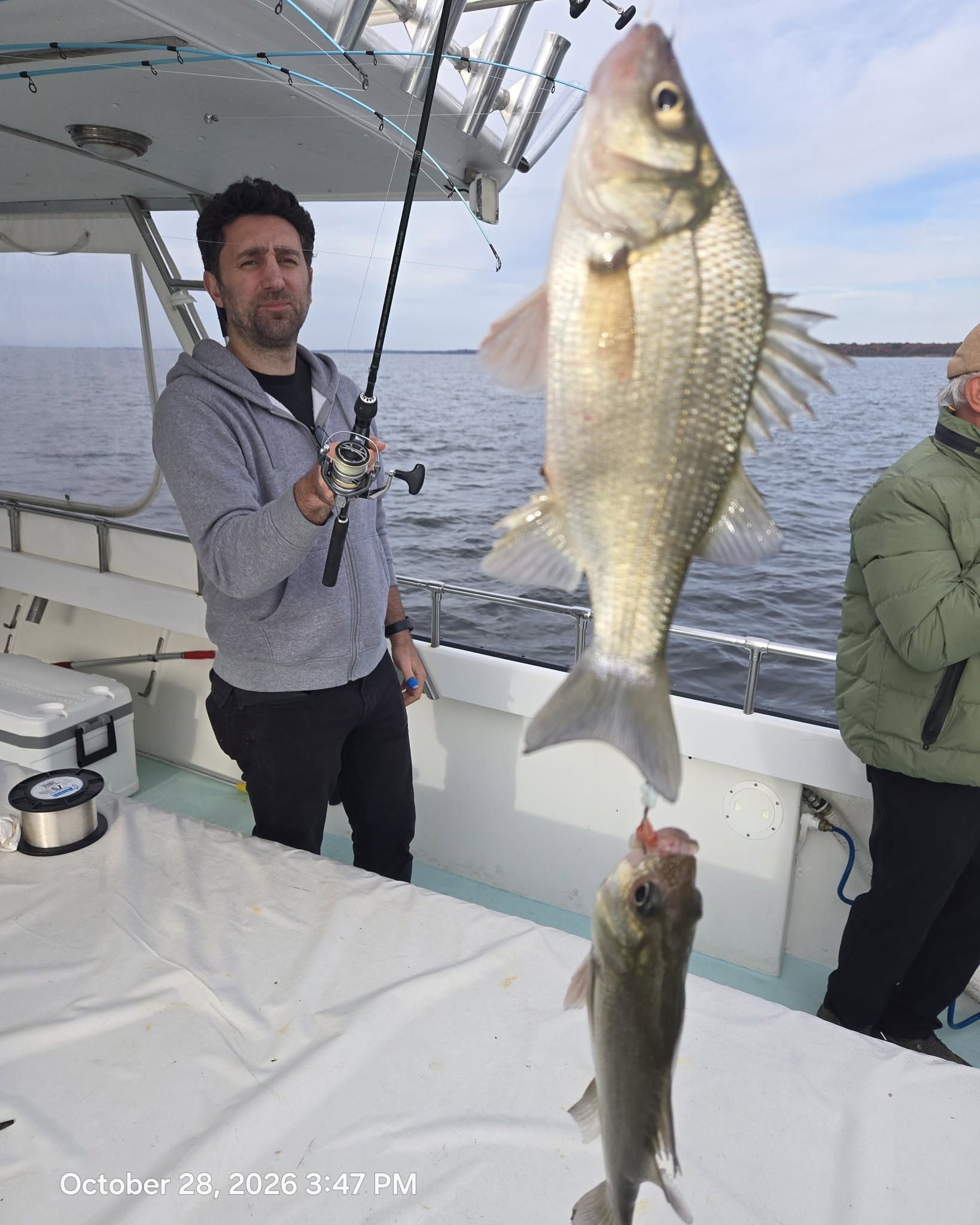 Chesapeake Bay Rockfish Charters Report: Over-Slots & 225 Perch 6 Light Tackle Chesapeake Bay Charter Fishing for Rockfish aka Striped Bass - live lining & white perch